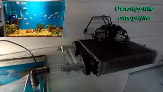 Охлаждение аквариума
