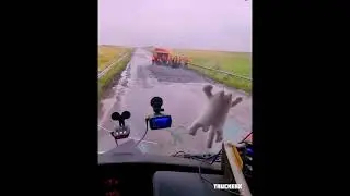 Дальнобои встретил Дорожников #большегруз #дальнобой #daf