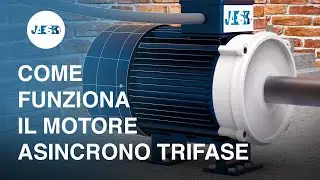 Cos'è e come funziona il MOTORE ASINCRONO TRIFASE - Campo magnetico rotante - Animazione 3D