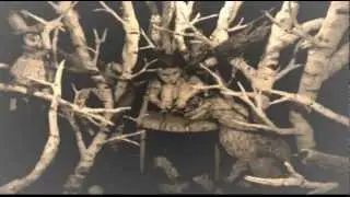 Uaral-Sounds of Pain (Chapter III-Inspiracion)