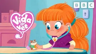 NEW Animation Series! VIDA THE VET - Trailer | CBeebies