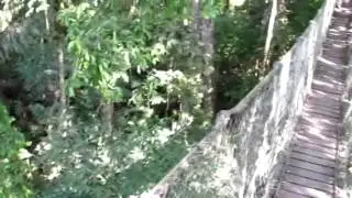 Tal canopy