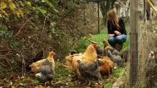 One Restaurateur's View Why Agricultural Sustainability Matters
