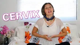 What's the cervix? How do you stimulate it?