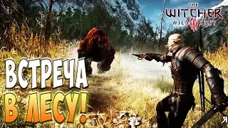 Битва с Медведем! - Ведьмак 3: Дикая охота #3