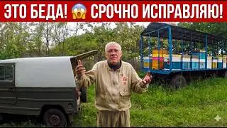 Работы на пасеке в июле Как повысить медосбор на слабых взятках Как исправить пчелиные семьи