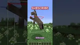 MINECRAFTS SECRET KEYBINDS!