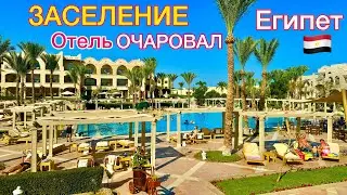 Египет 2024🇪🇬 ЗАСЕЛЕНИЕ в НОВЫЙ отель Jaz Makadi Star & SPA 5* БЕЗВЕТРЕННАЯ БУХТА Макади Бей ХУРГАДА