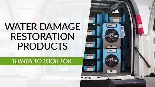 What to Know About Water Damage Restoration | Sylvane
