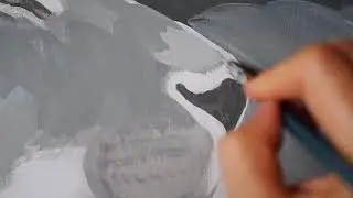 львы