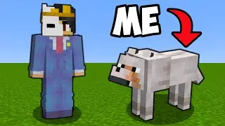 I Pranked My Friend as a Dog!