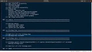 Parallelization on Cypress using Cy-Runner