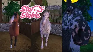 ПОКУПКА ЛОШАДИ:КНАБСТРУППЕР!Стар Стейбл Онлайн-STAR STABLE ONLINE-Покупаю Новую Лошадь/ SSO