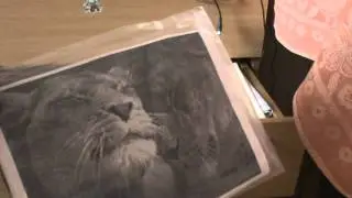 Хомячья норка