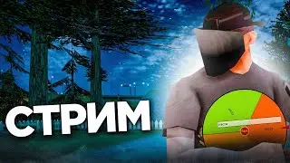 СТРИМ на АРИЗОНА РП - КРУТИМ РУЛЕТКИ и ИГРАЕМ В САМП и AMAZING RP