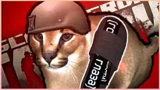 Меня бесят крысы в Escape from Tarkov | Монтаж Тарков