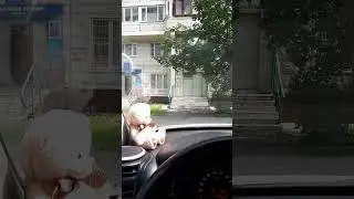 НОВЫЙ ВИД МОШЕННИЧЕСТВА! БУДЬТЕ ОСТОРОЖНЫ И РАСПРОСТРАНИТЕ!