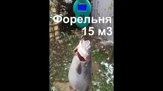 Форельня, совершенству нет предела