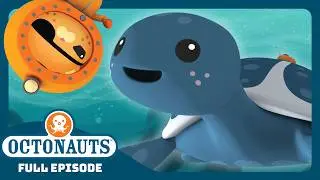 ‪@Octonauts‬