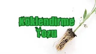 How to Make Plant Rooting Powder