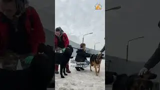 Когда кажется, что больше нет сил…