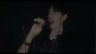 POWERWOLF - Where The Wild Wolves Have Gone (cover by Grizar)