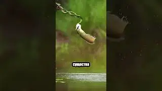 Редкое видео: борьба за жизнь на ветке! 🌿🐍🐟