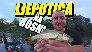 Pecanje MRENE na dzigericu i crve - Sistem dubinac na NOVIM terenima!