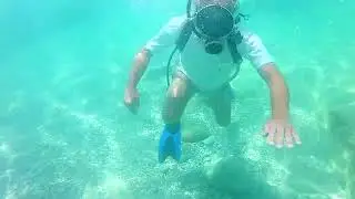 Подводный мир Русского моря. Крым.