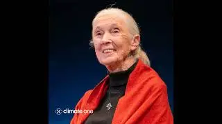 Jane Goodall: Celebrating 90