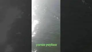 Tavas Aydoğdu mahallesi Denizli