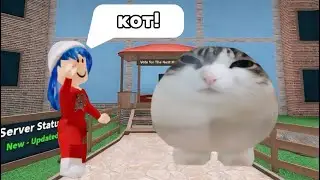 играю в мм2,но в скине большого кота{🐈}
