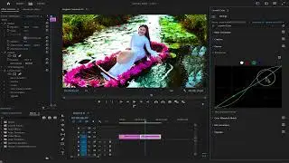 Tutorial Lumetri Color Panel in Premiere Pro (Part one)