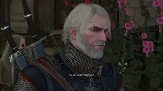 The Witcher 3 Funny Moment :)