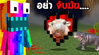 😱ทำไมผมเพิ่มหัวใจ หมูเด้ง ในโลกมายคราฟ..!! เพื่อสิ่งนี้..?! (Minecraft)