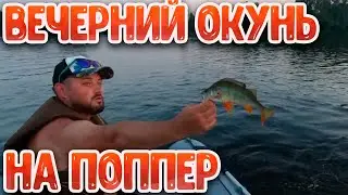 Окунь на поппер | Ловим много окуня на Томи:)