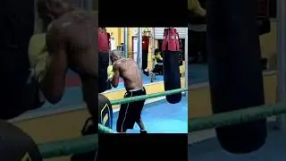 Zab Judah Training - Amazing Speed