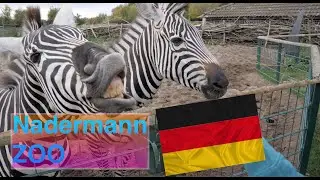 Nadermann Zoo Germany