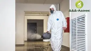 дезинфекция подъездов