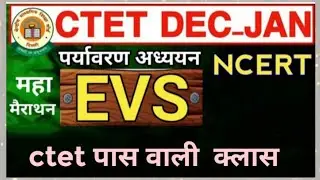 ctet evs analysis online ctet exam 2022!what  is the next date of ctet exam!