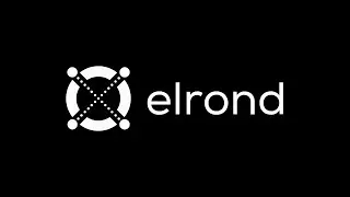 #ElrondPodcast - 2 Years of Elrond  #theteam