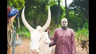Akoon, Aberic, Achiek Kur, Kurot, Arieth: Panaan ke Wuor Bor