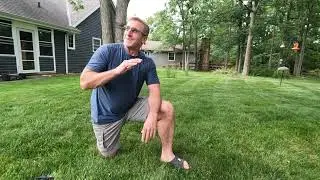 June Lawn Update!!! Part 2: // How I'm Pushing for a Greener Lawn