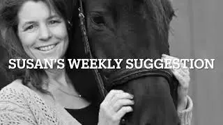 No Riding Today?  Try this instead. Perfect way to bond with your horse.