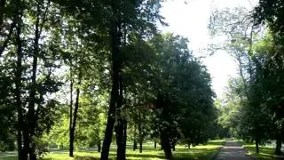 Утро в Москве