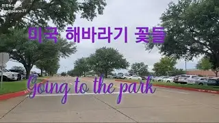 미국 공원 Going to the park