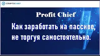 Profit Chief. Как заработать на пассиве, не торгуя самостоятельно.