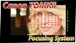 Canon 7Dii Focusing Tutorial Training | How to Focus | Overview  Review Tips Suggestions