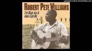 Robert Pete Williams - It's So Cold In Chicago