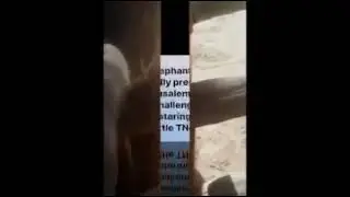 Jerusalema Dance Challenge Thai Elephant Style